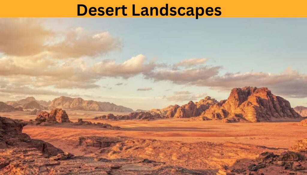 Desert Landscapes Arizona