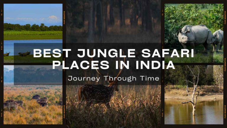 Best Jungle Safari Places in India