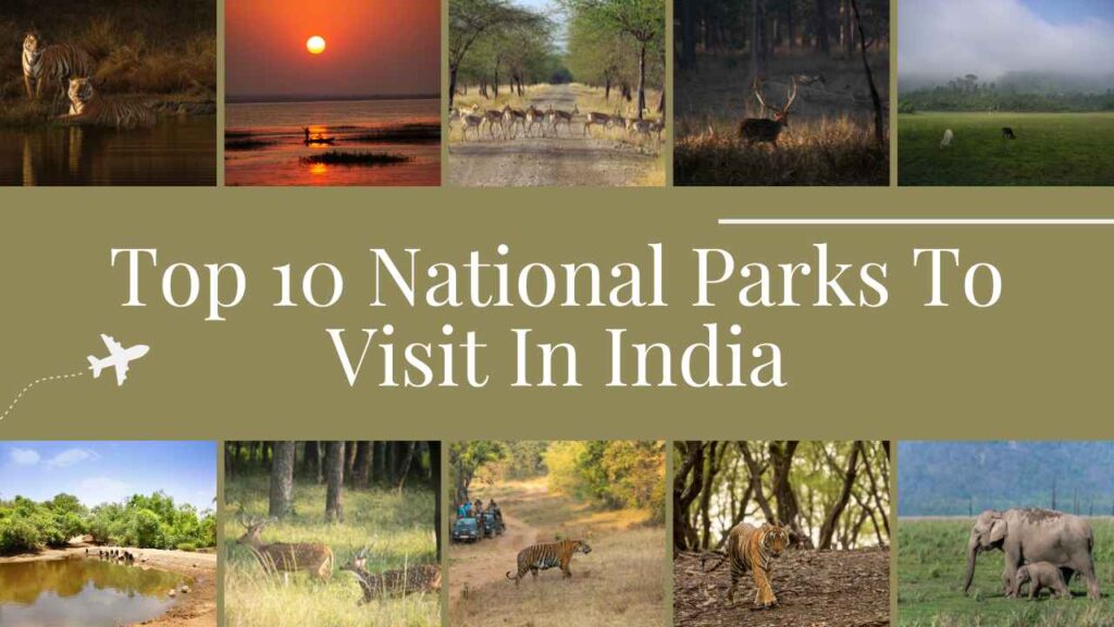 Top 10 National Parks To Visit In India